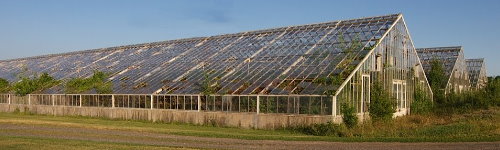 GREENHOUSES (7).jpg  by CraftyQueen