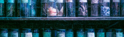 POTIONS STORE ROOM (5).jpg  by CraftyQueen