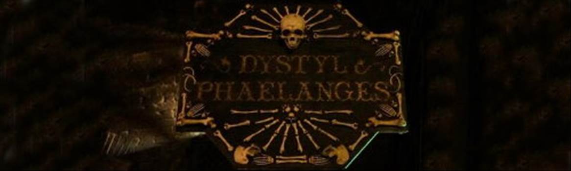 Dystyl Phaelanges.jpg - 
