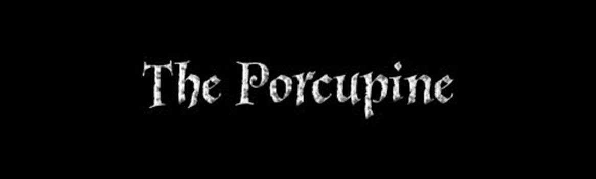 The Porcupine.jpg by CraftyQueen