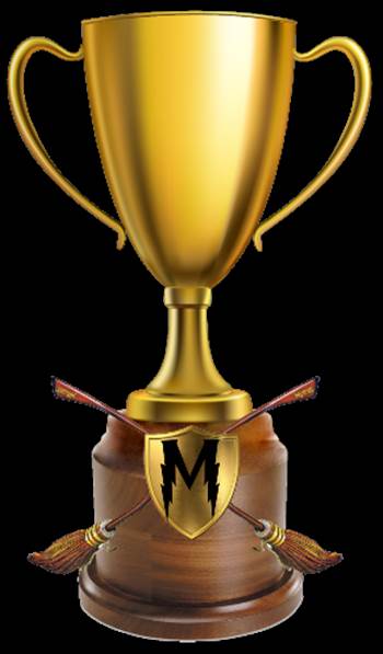 quidditch trophy1MSMALLER.png - 