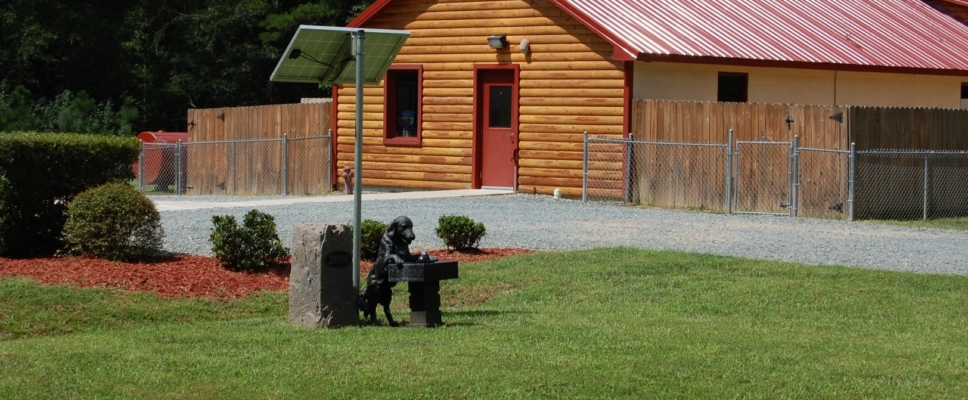 Chapel Hill Pet Boarding https://countryinnkennelandcattery.com/ by countrykennel