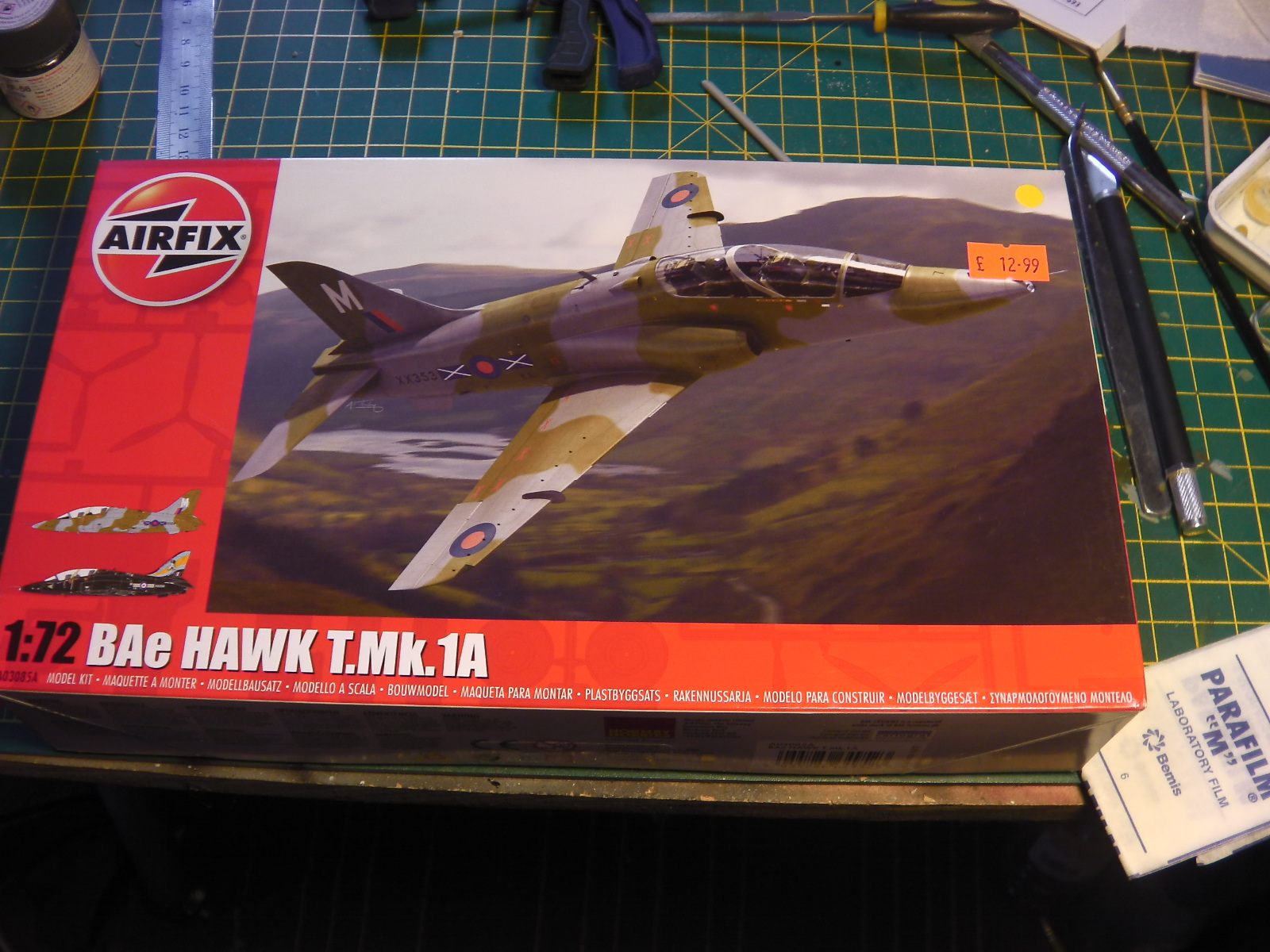 Hawk 1.JPG  by neil5208