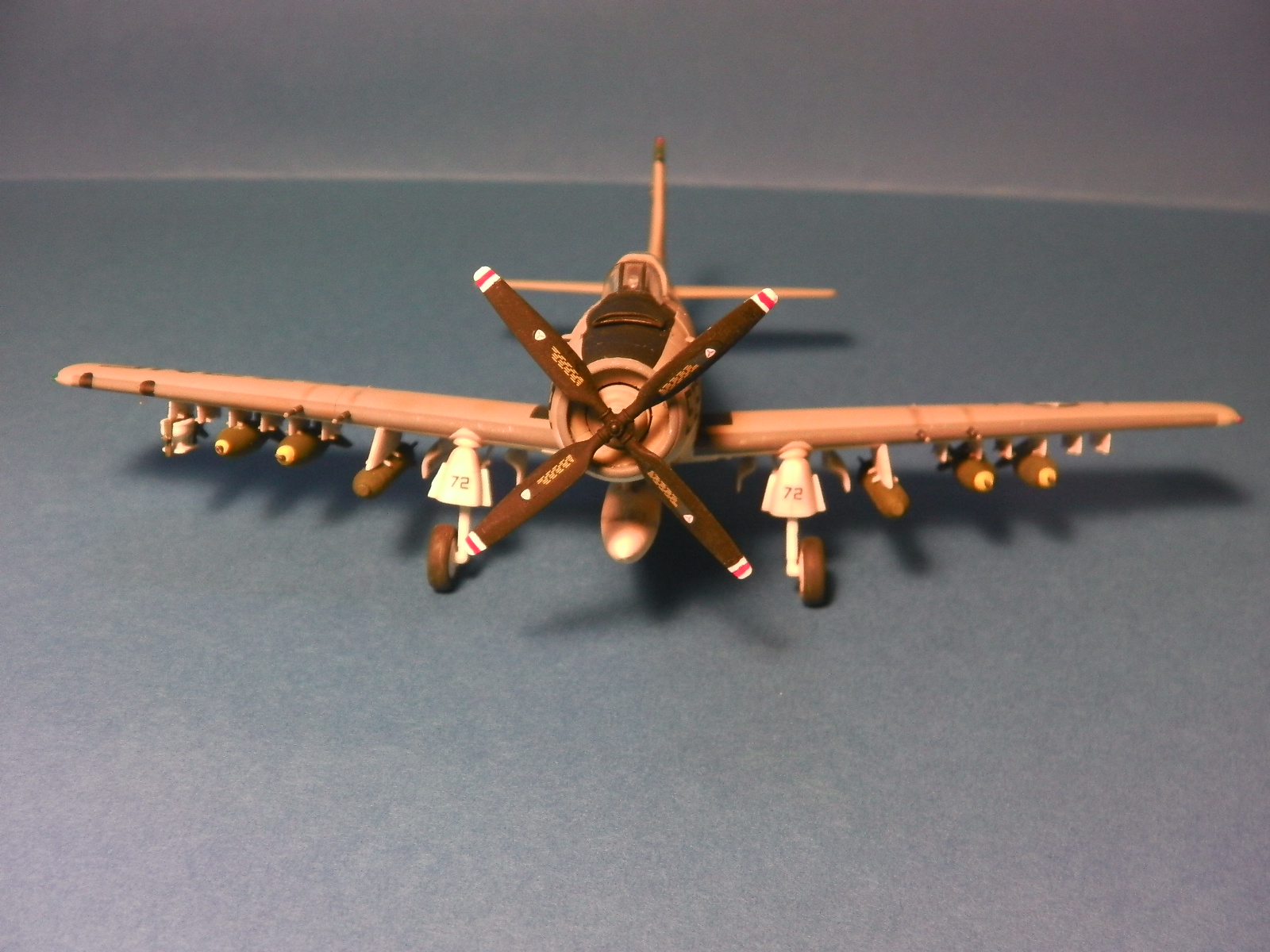 Skyraider 33.JPG  by neil5208