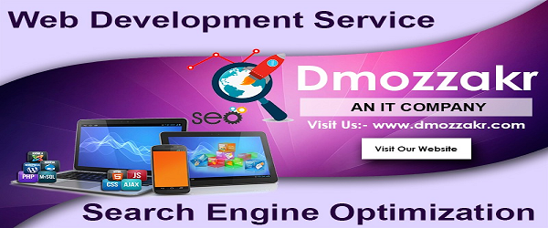 WebSite Design and SEO Company in Chandigarh (2).png  by Dmozzakr