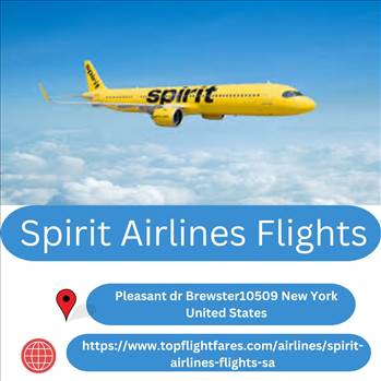 Spirit Airlines Flights.jpg by niyajames