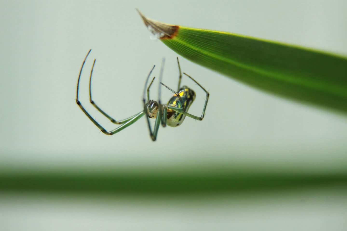 FB_IMG_1433696977269.jpg  by WPC-49