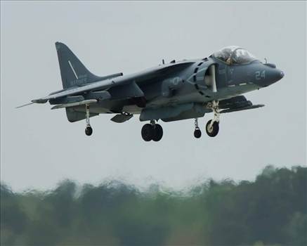 FB_IMG_1433768596357.jpg - 