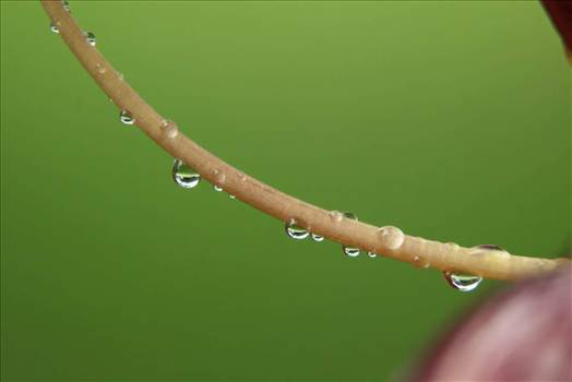 FB_IMG_1437849867028.jpg - 