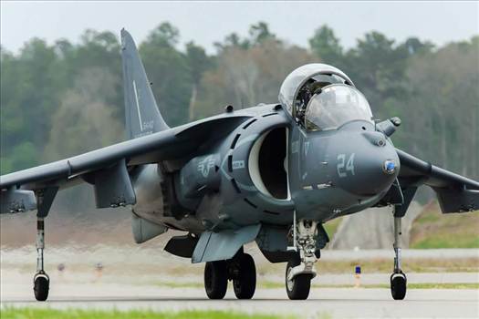 FB_IMG_1433768602639.jpg - 