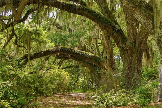 FB_IMG_1433855072111.jpg - 