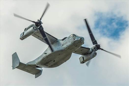 FB_IMG_1437439261913.jpg - 