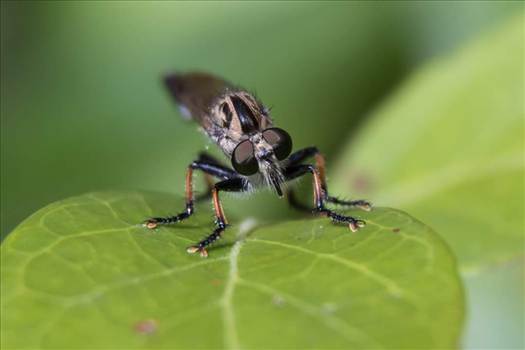 FB_IMG_1434063170835.jpg - 