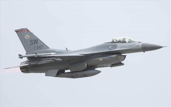 FB_IMG_1434826755212.jpg - 