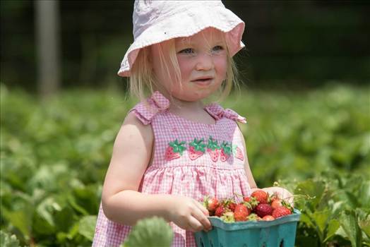 FB_IMG_1437439314718.jpg - 