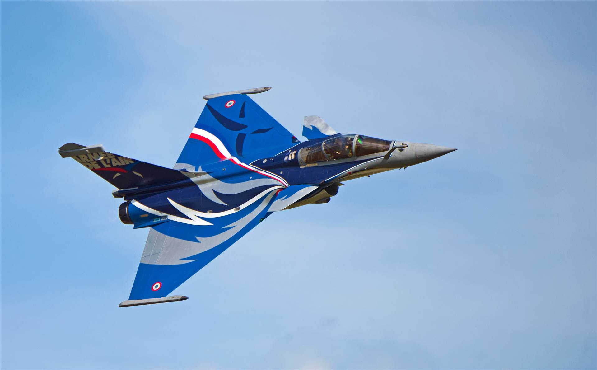 resized_0bd78537-e516-43a2-b1ae-63a08604