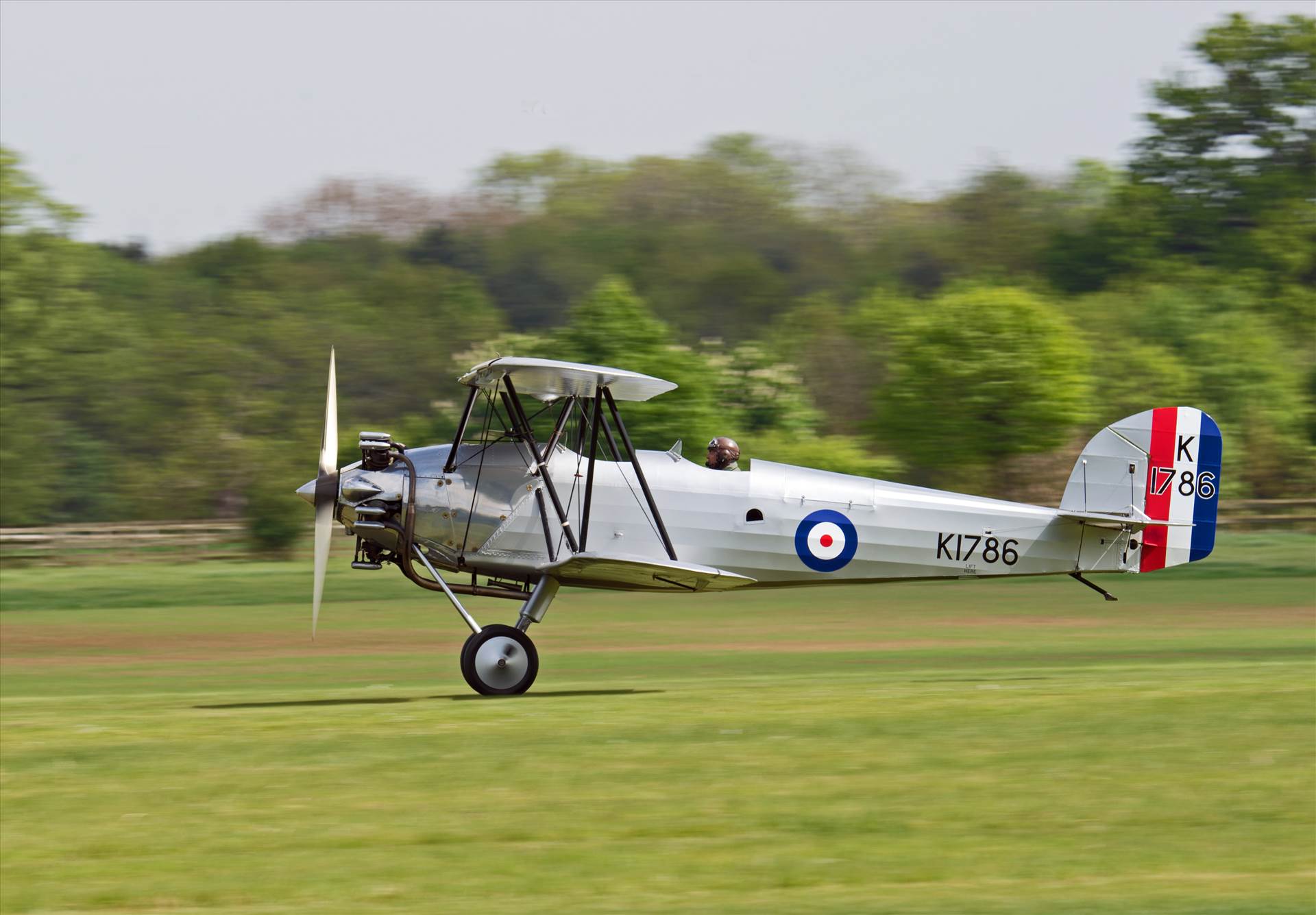 resized_1b90ef5d-96e3-4031-94f2-81aa2fbb