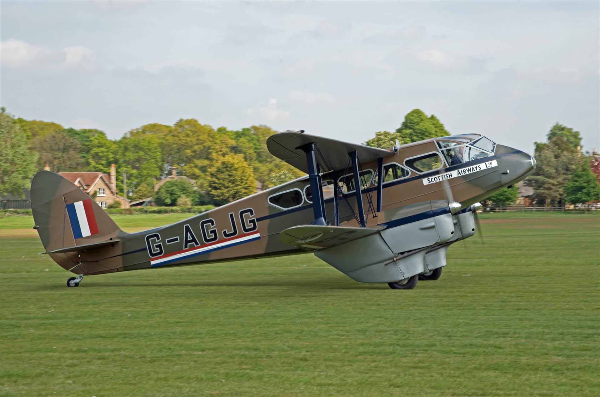 resized_1bb99ab7-c06e-4165-af6c-fd524cc9