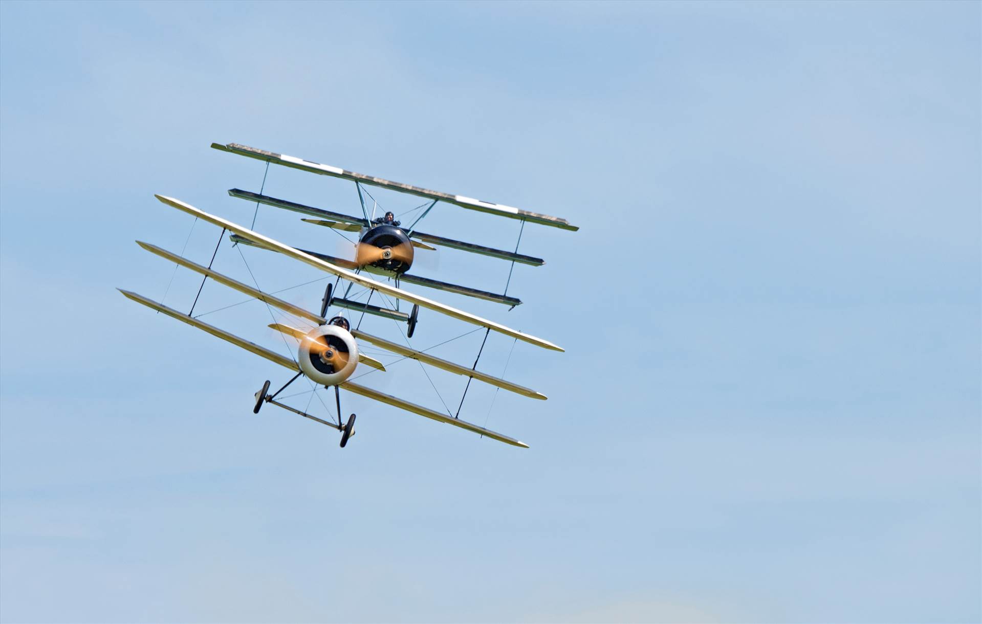 resized_201bc7e3-7589-49a6-bd8e-90233b13