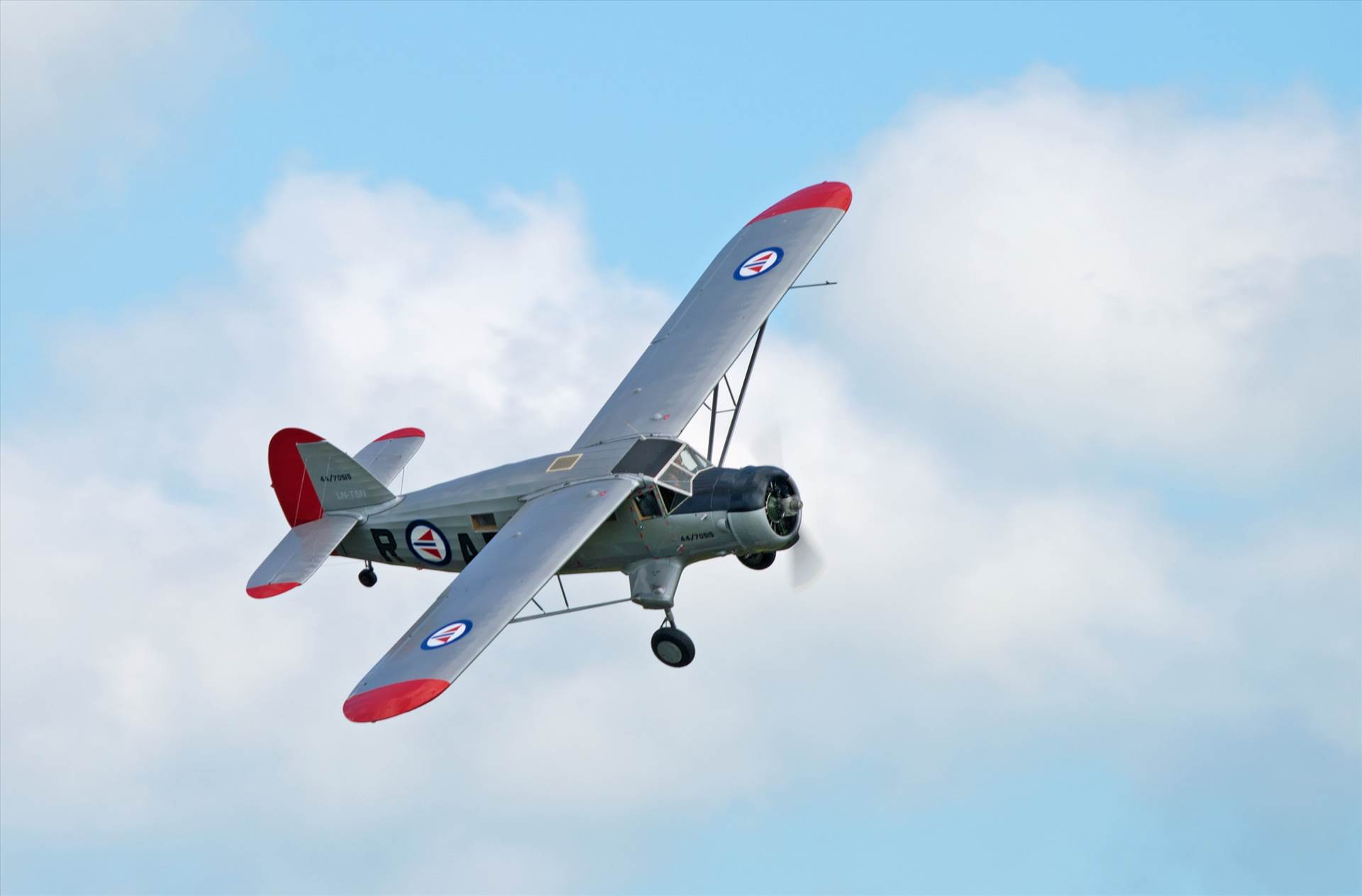 resized_2bd47f5b-c030-408d-968c-154f6e12