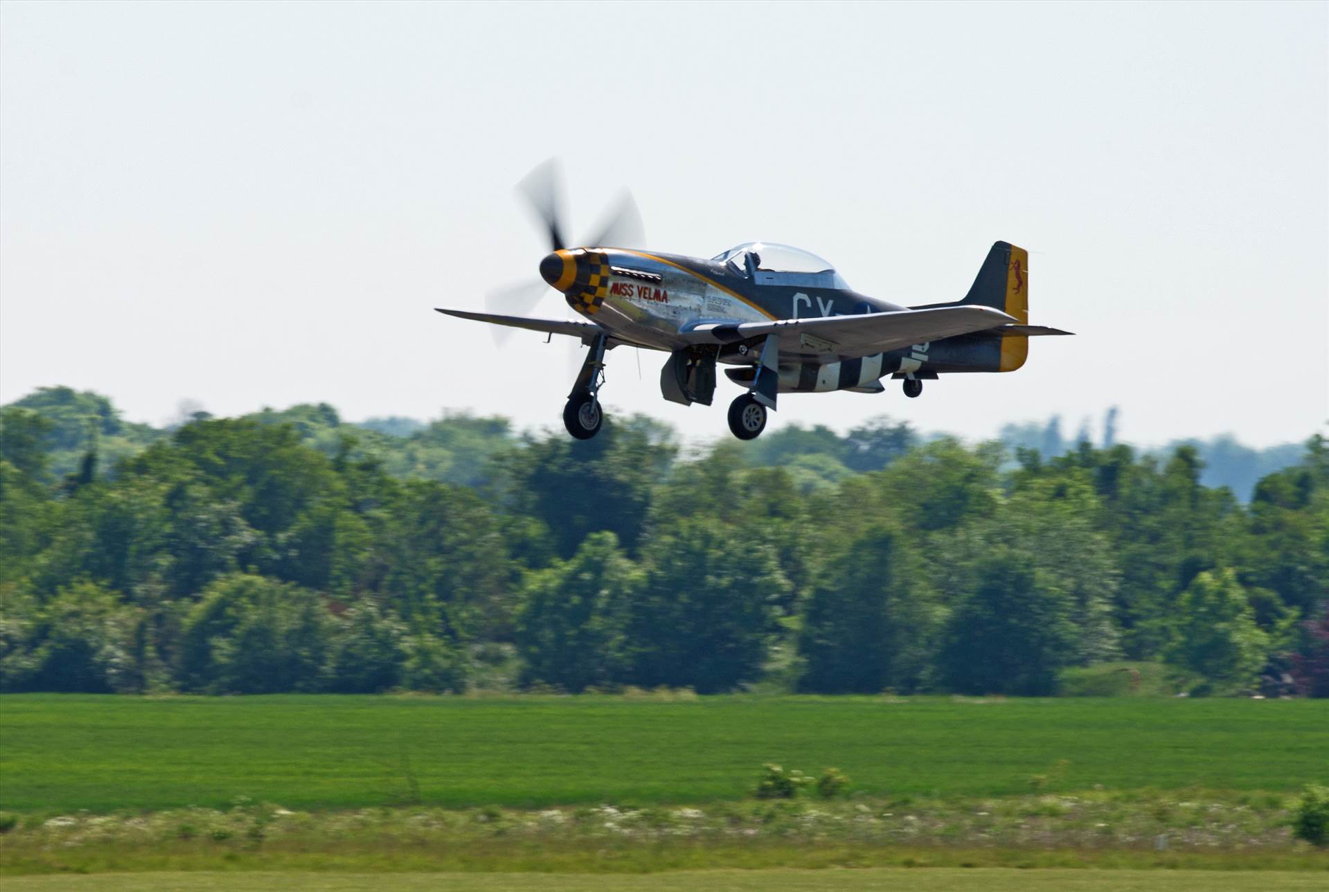 resized_30e23408-2a4c-4f7d-ba38-a8ecc827