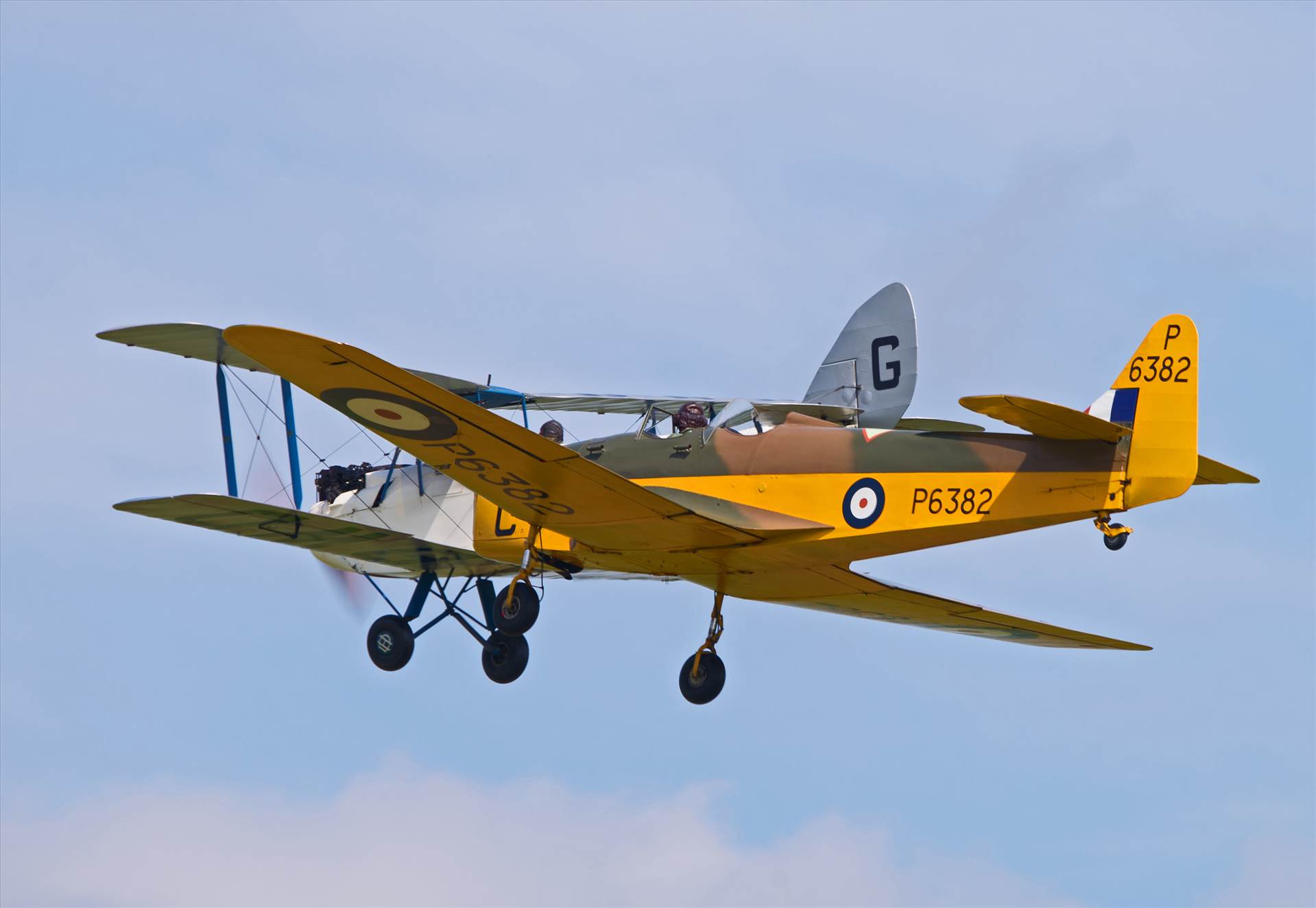 resized_3208f0e4-a48d-4434-a7d6-ca971a86