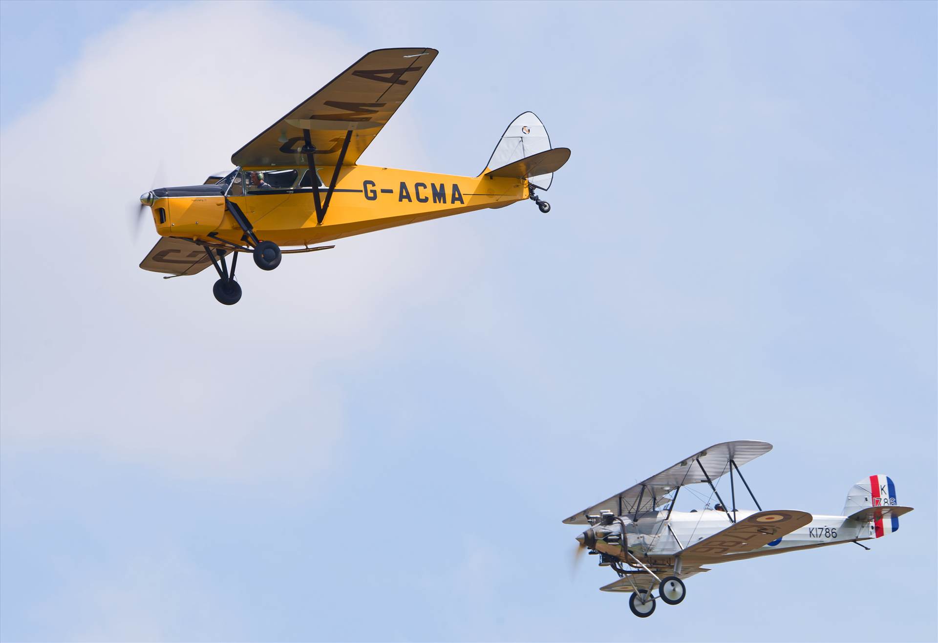 resized_3394c2c4-80ec-4d49-a3b0-524acecb