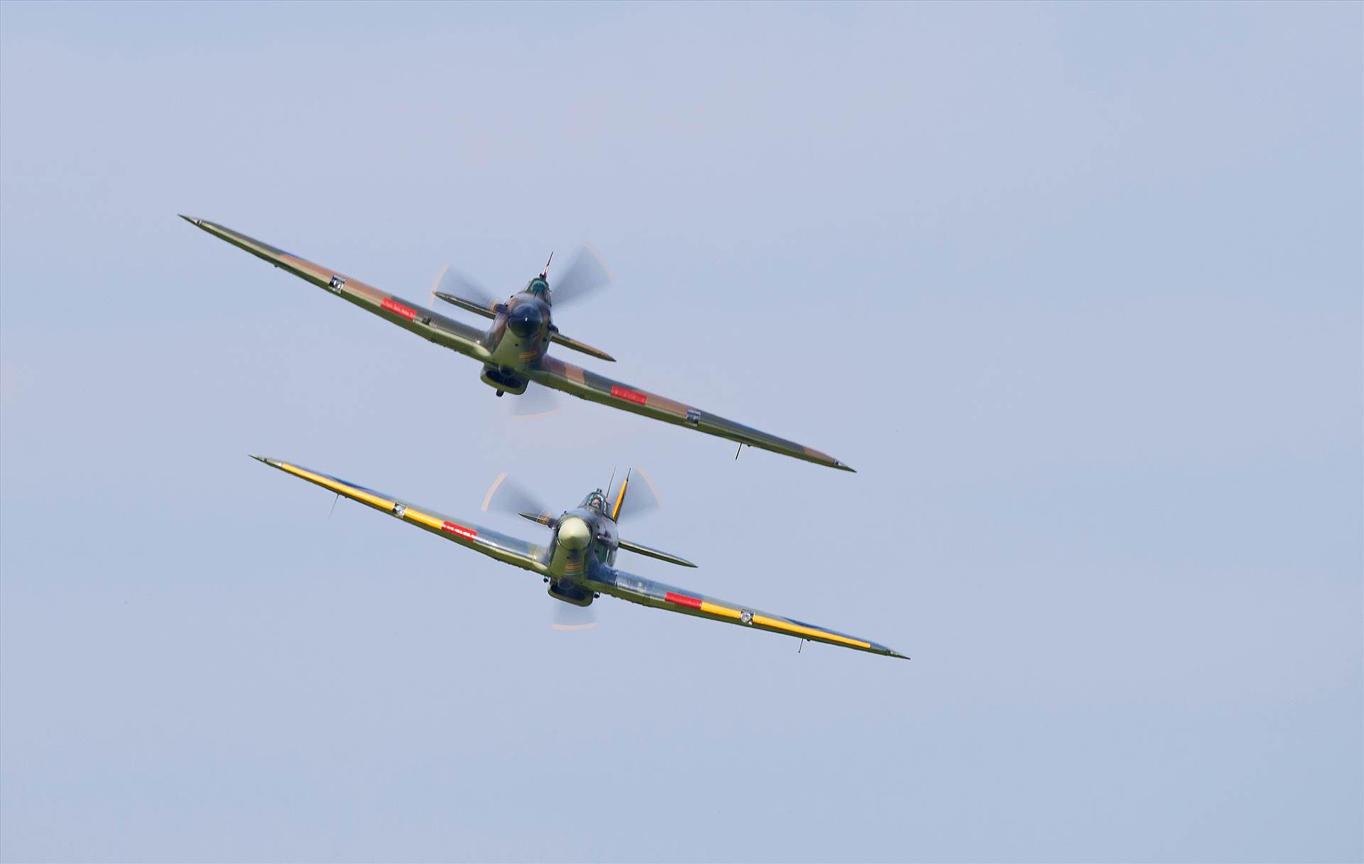 resized_3b6abf0a-b82b-4940-b18a-eceff502