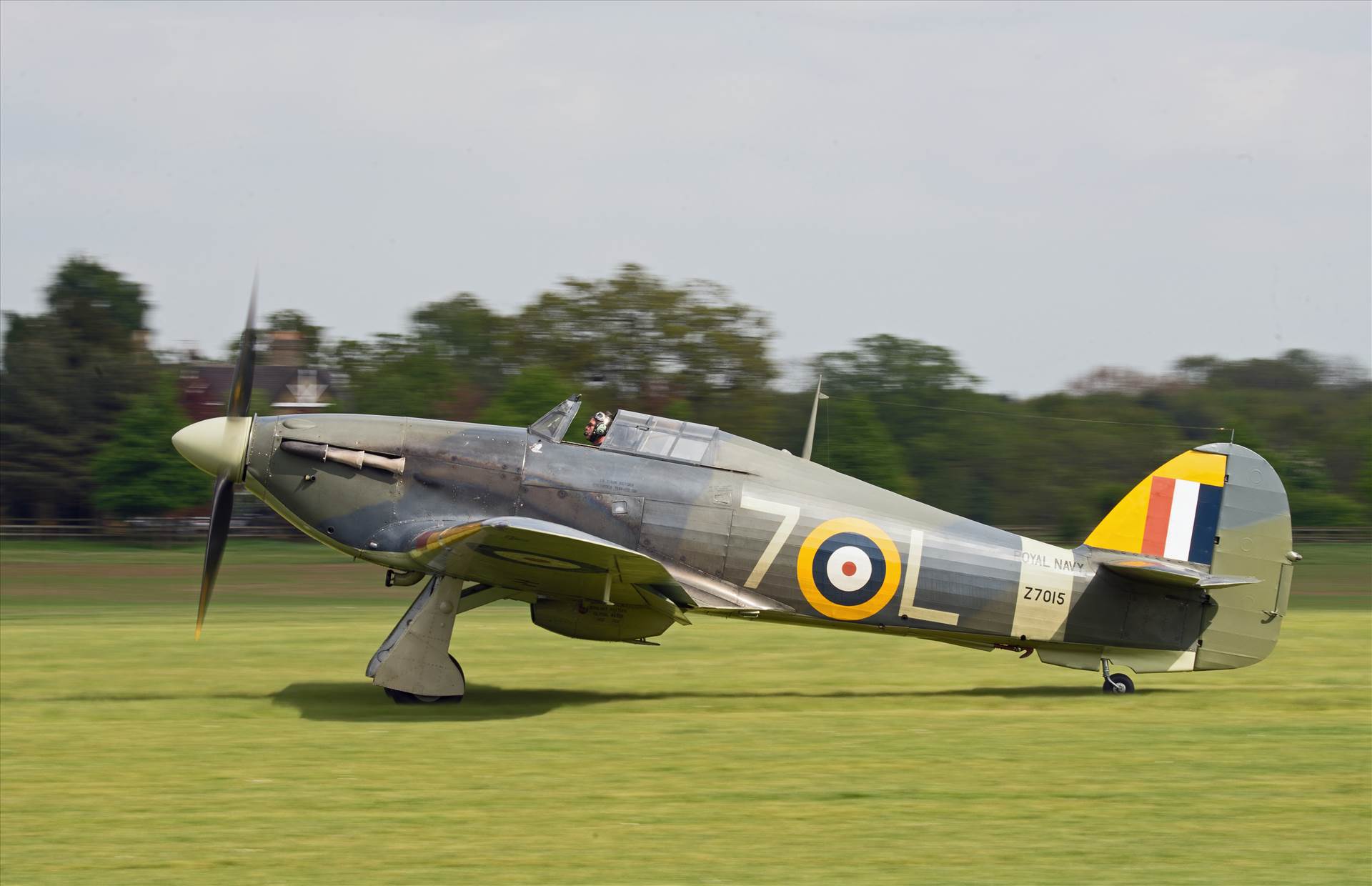 resized_4f1f7721-f527-46f7-aee1-76daca88