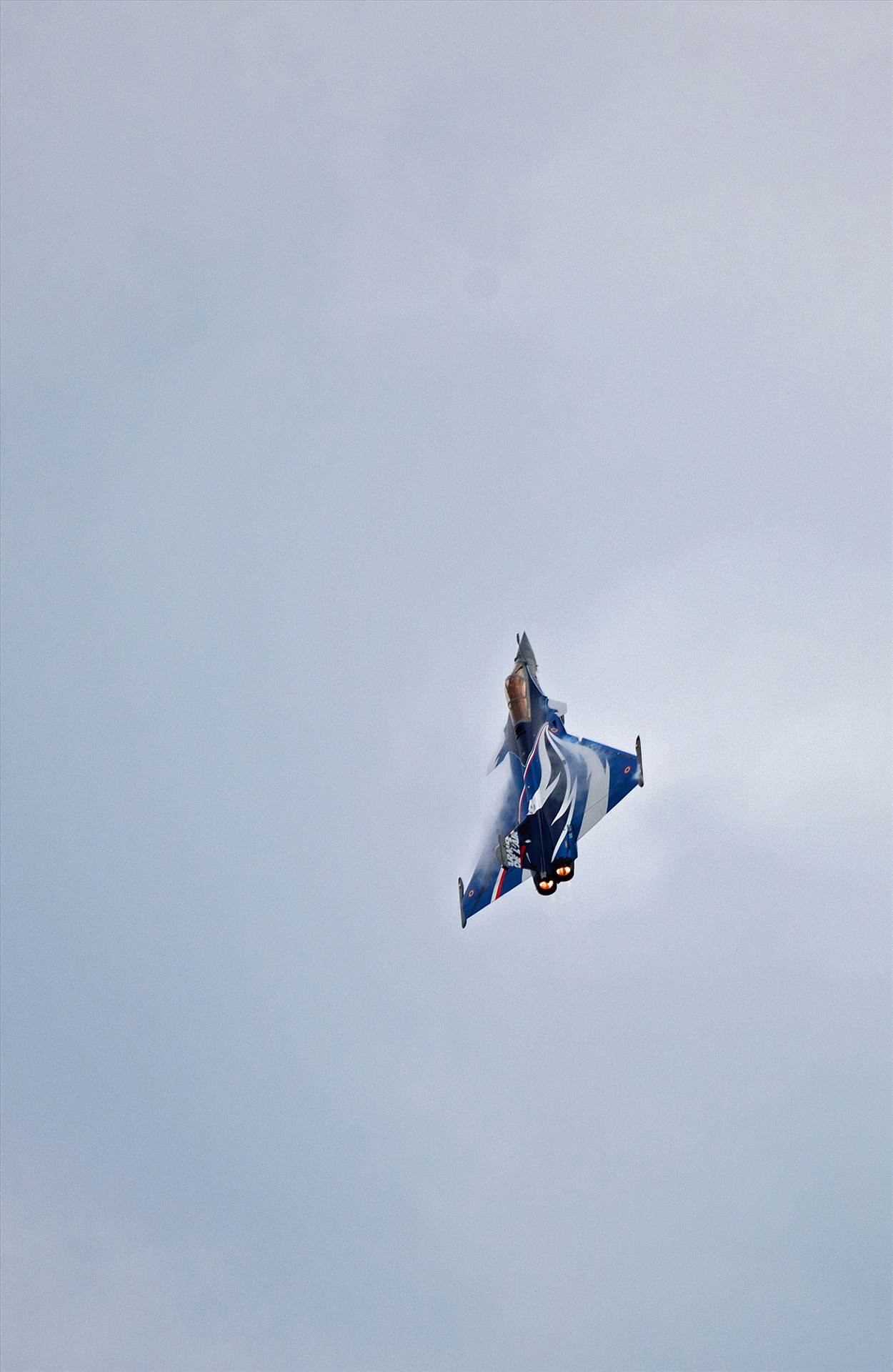 resized_4f2533a5-c091-4b0d-bb63-b88408aa