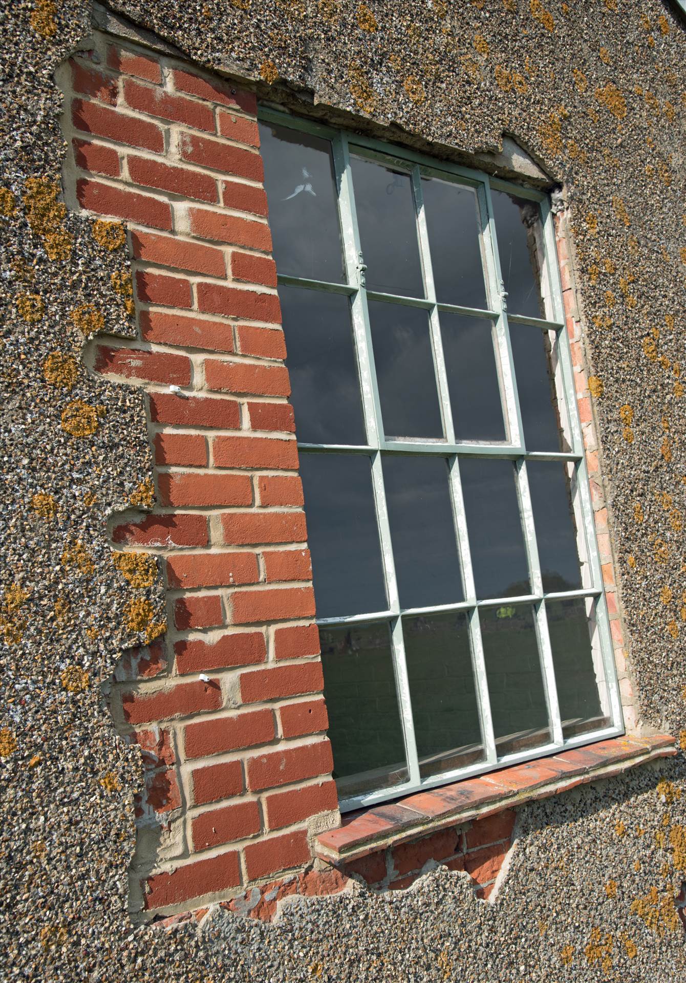 resized_54f73e5e-c802-4676-8175-e385f99f