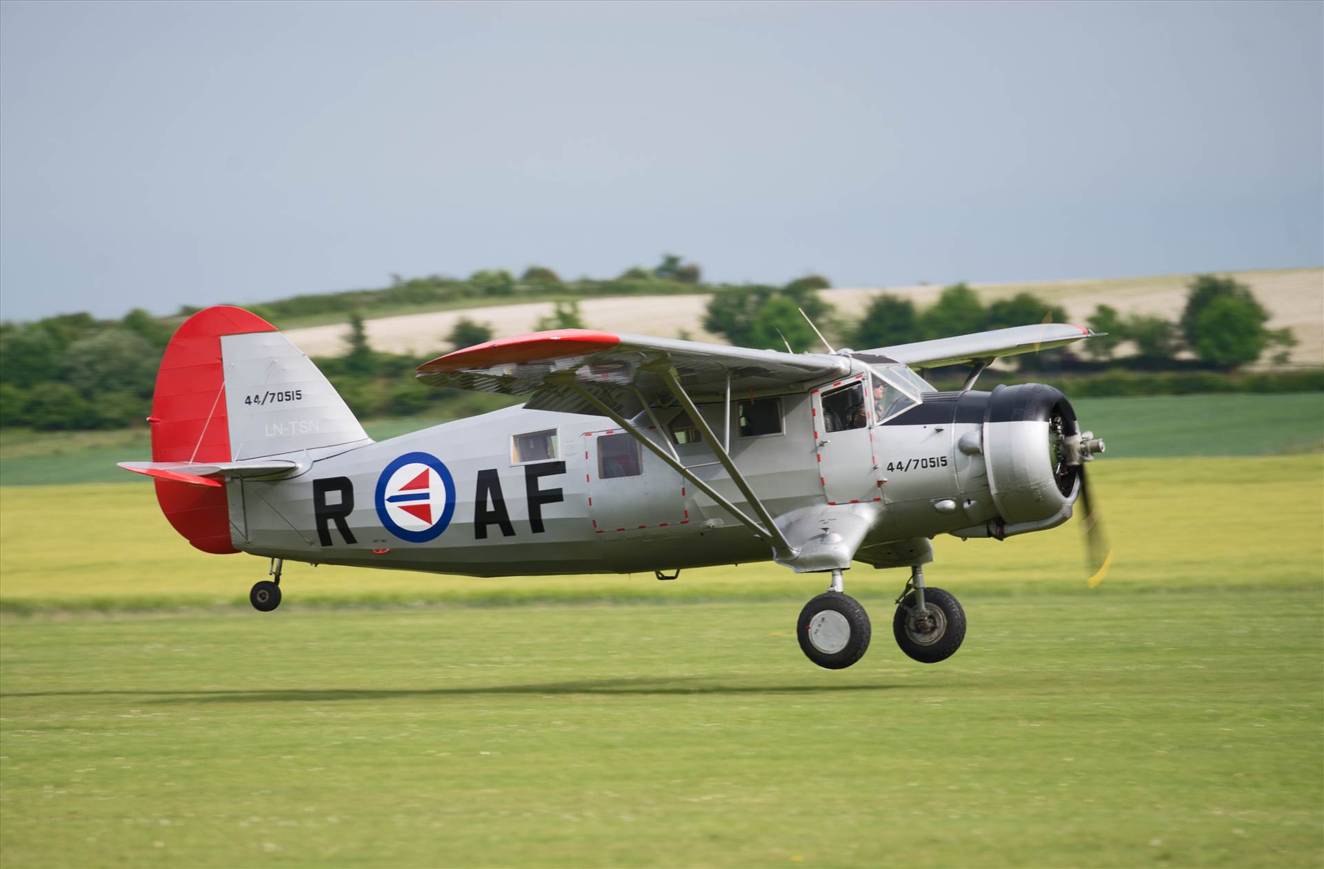 resized_559ccc0d-f5d6-4583-8a1c-8a6867b6