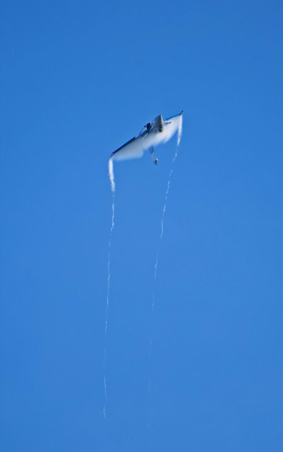 resized_5a553c8c-34fc-4b70-8026-867465b0