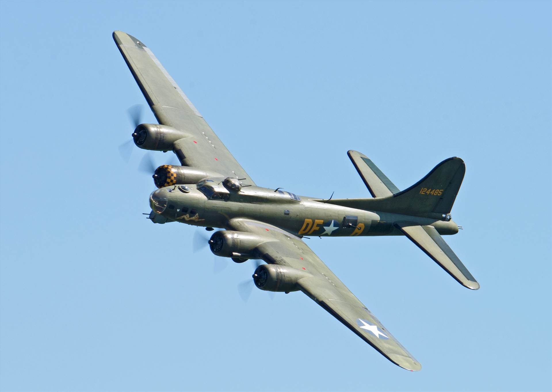 resized_5bdf97cc-76c3-44cc-9b95-64215a8a