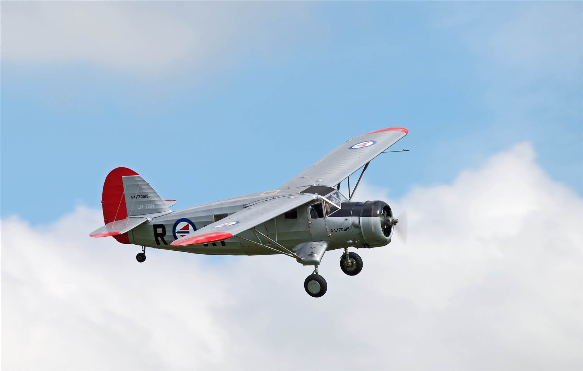 resized_60338406-943a-4b64-87b7-b0885209