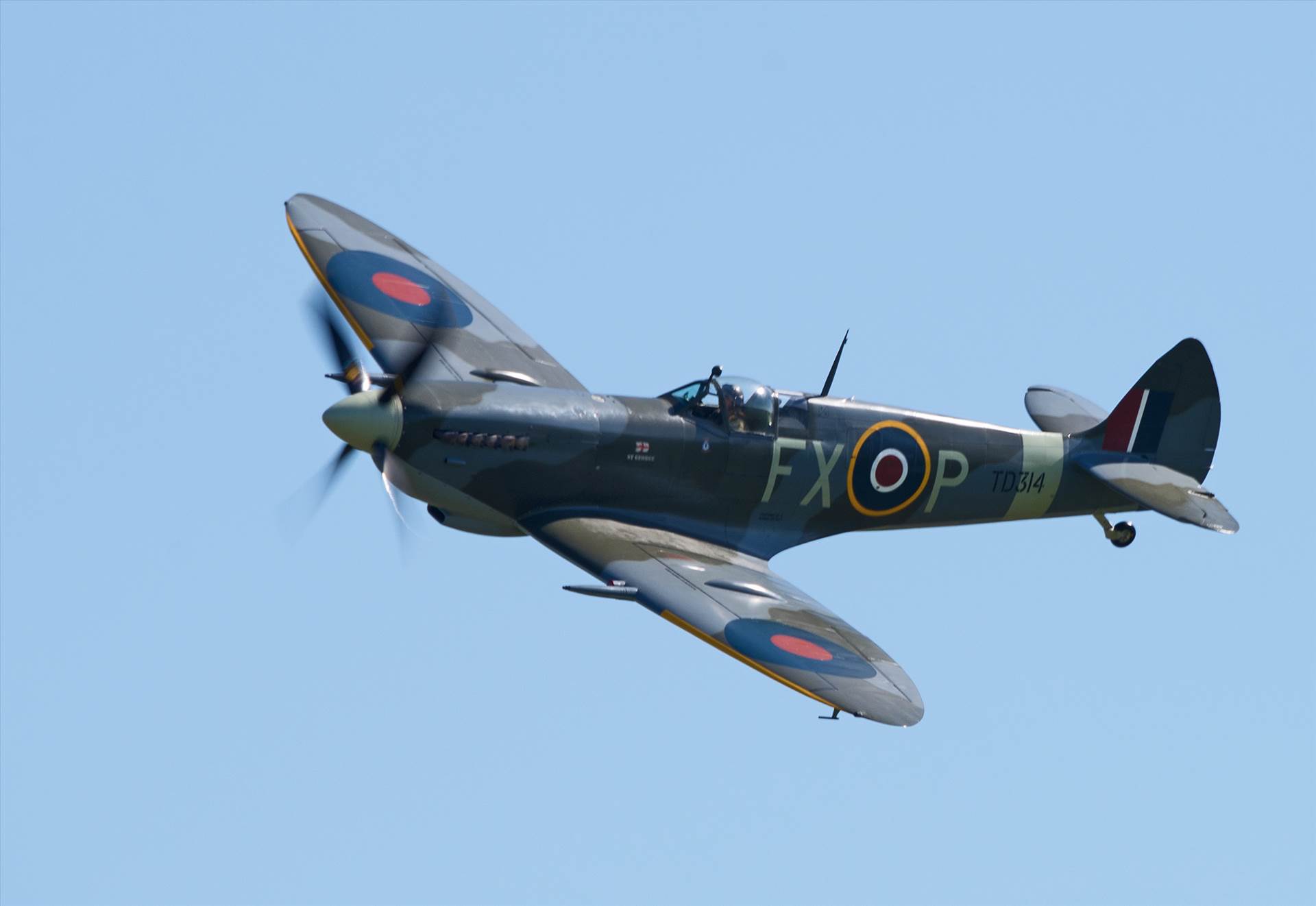 resized_6ae4176a-307c-4ac4-aedd-a2e22c2b