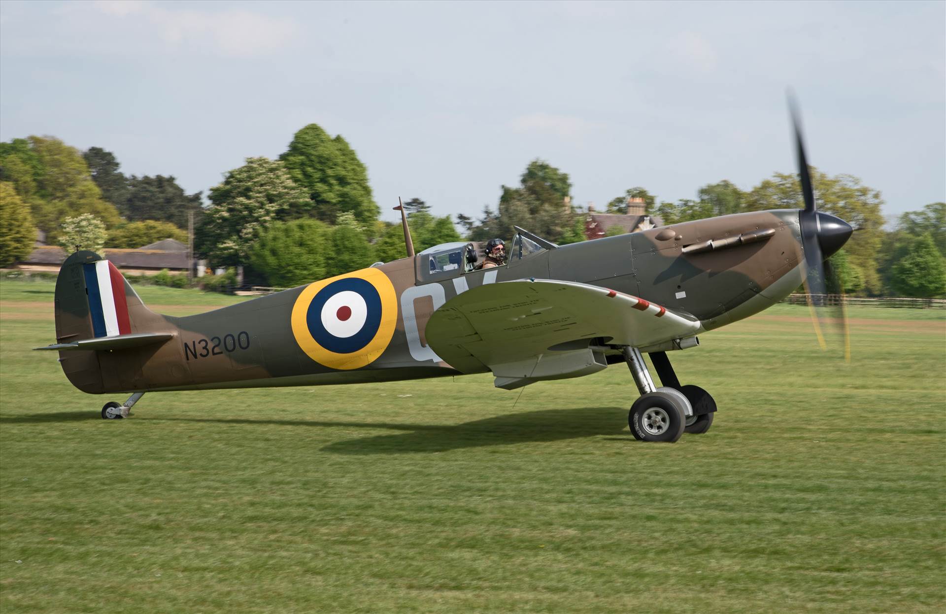 resized_7e2f095b-dfce-40a5-b63a-63ac1085