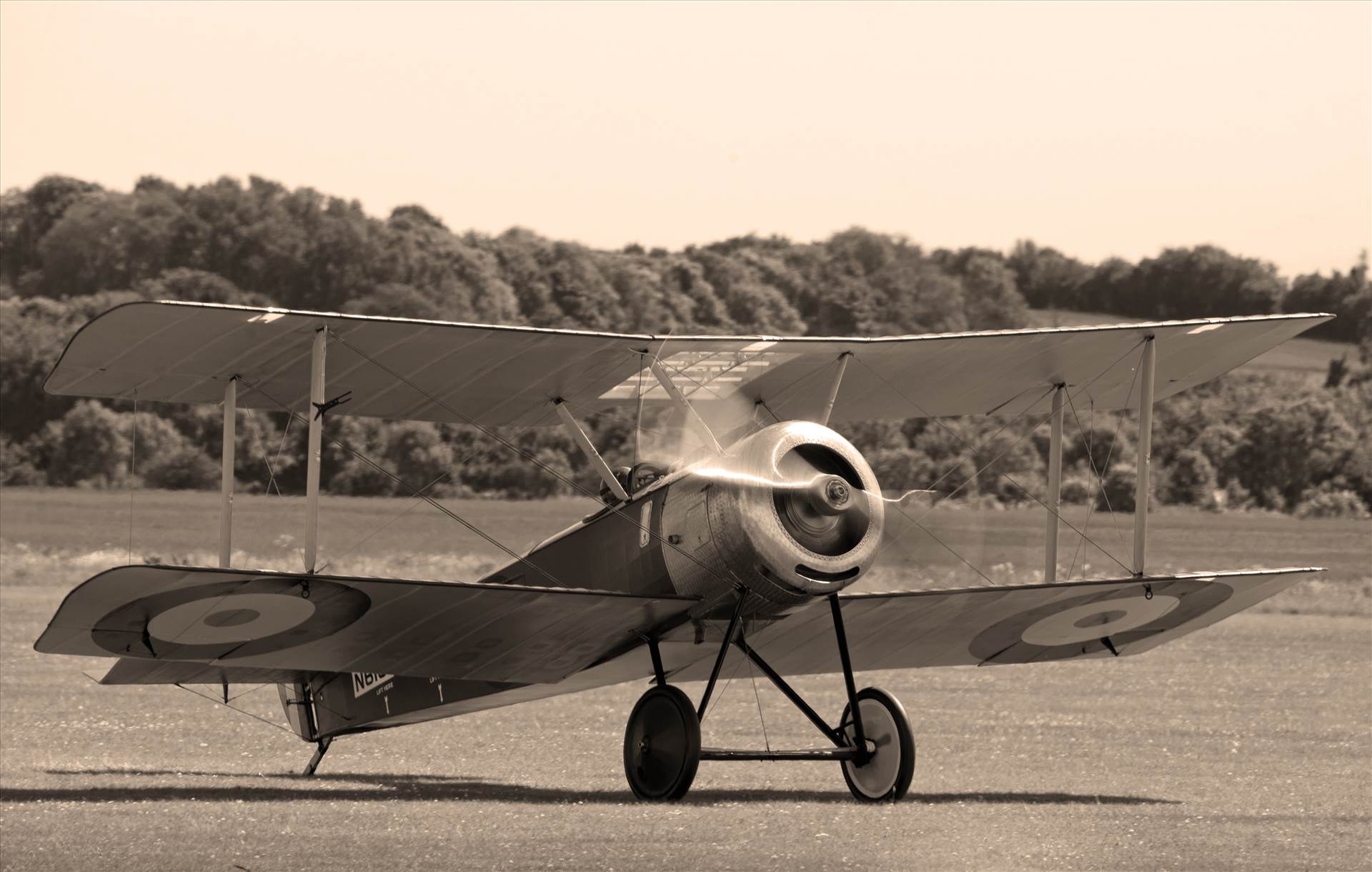 resized_835f3fd8-de3c-40e5-981a-78e3698f