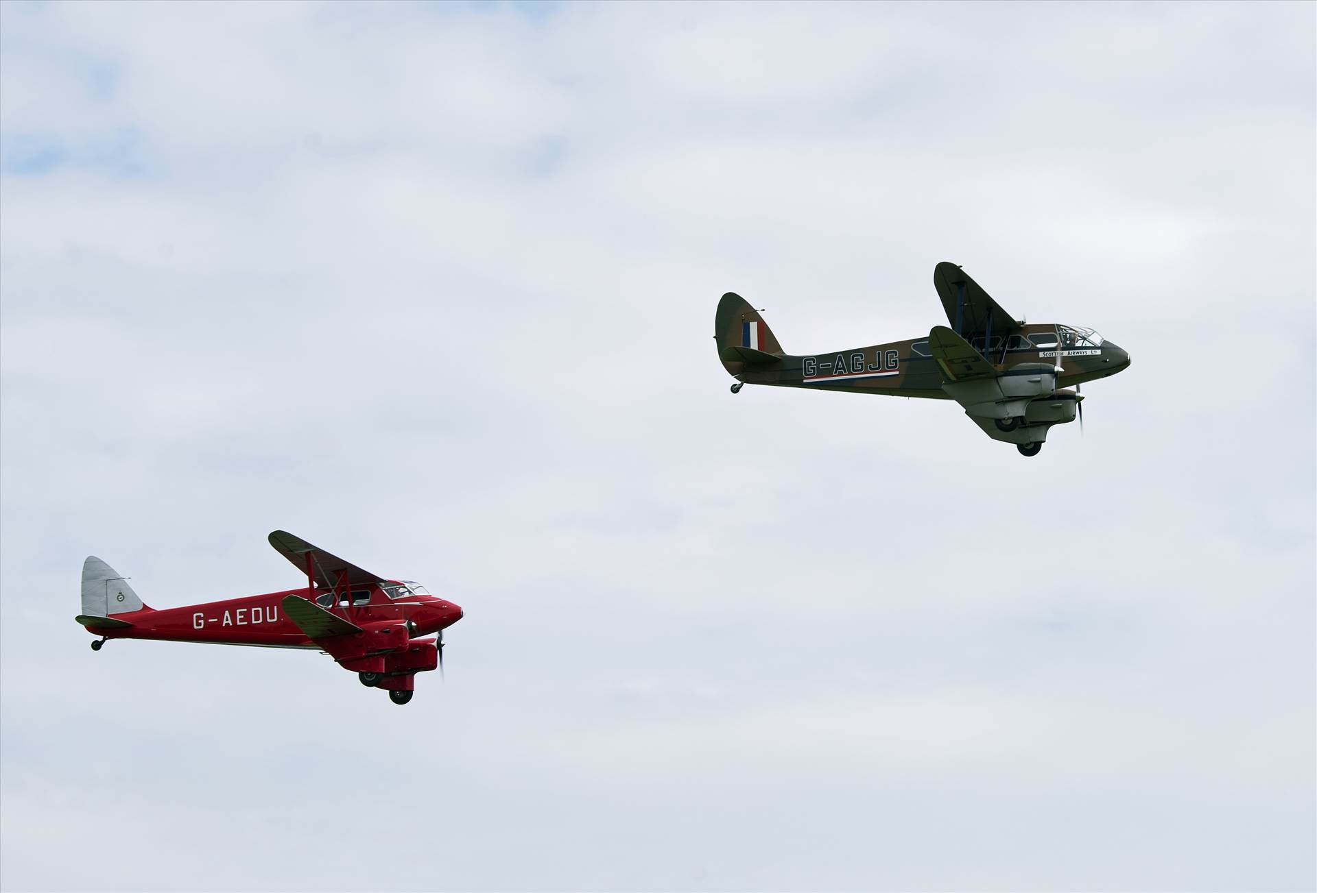 resized_8778ecd0-1d86-43a7-b8fc-2846b0c2