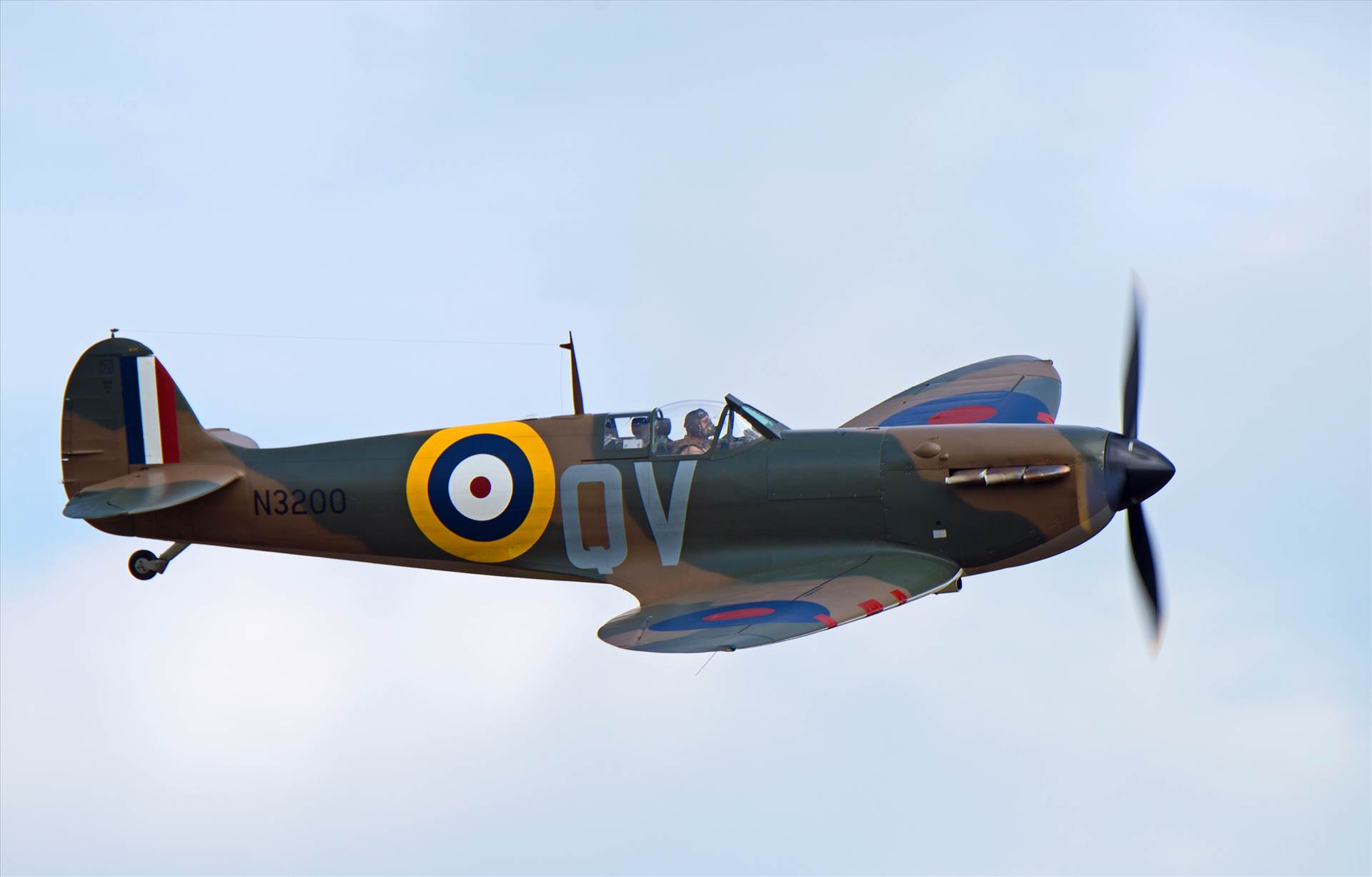 resized_9531766e-cab1-4ad1-aa1c-dee9123e