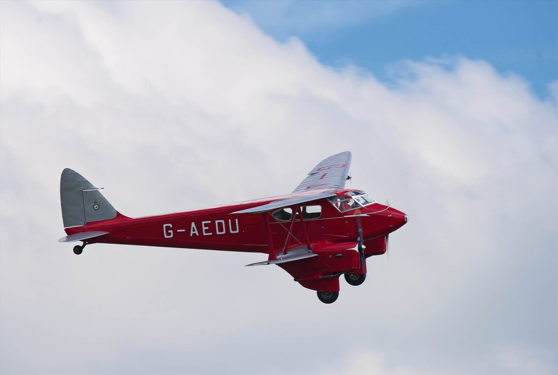 resized_9826fd20-6d6f-4b7d-9164-271f3bf2