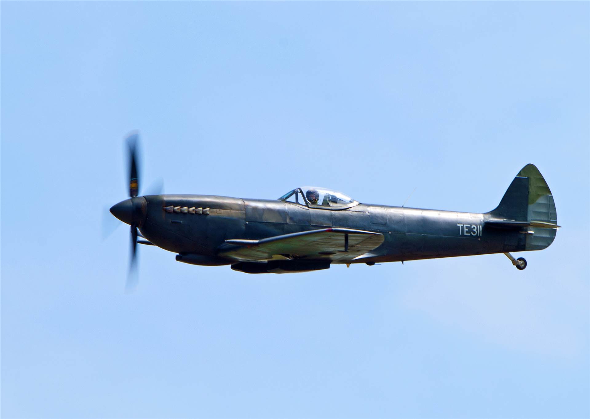 resized_9a0bb172-75e2-43d9-bb0a-bce44dac