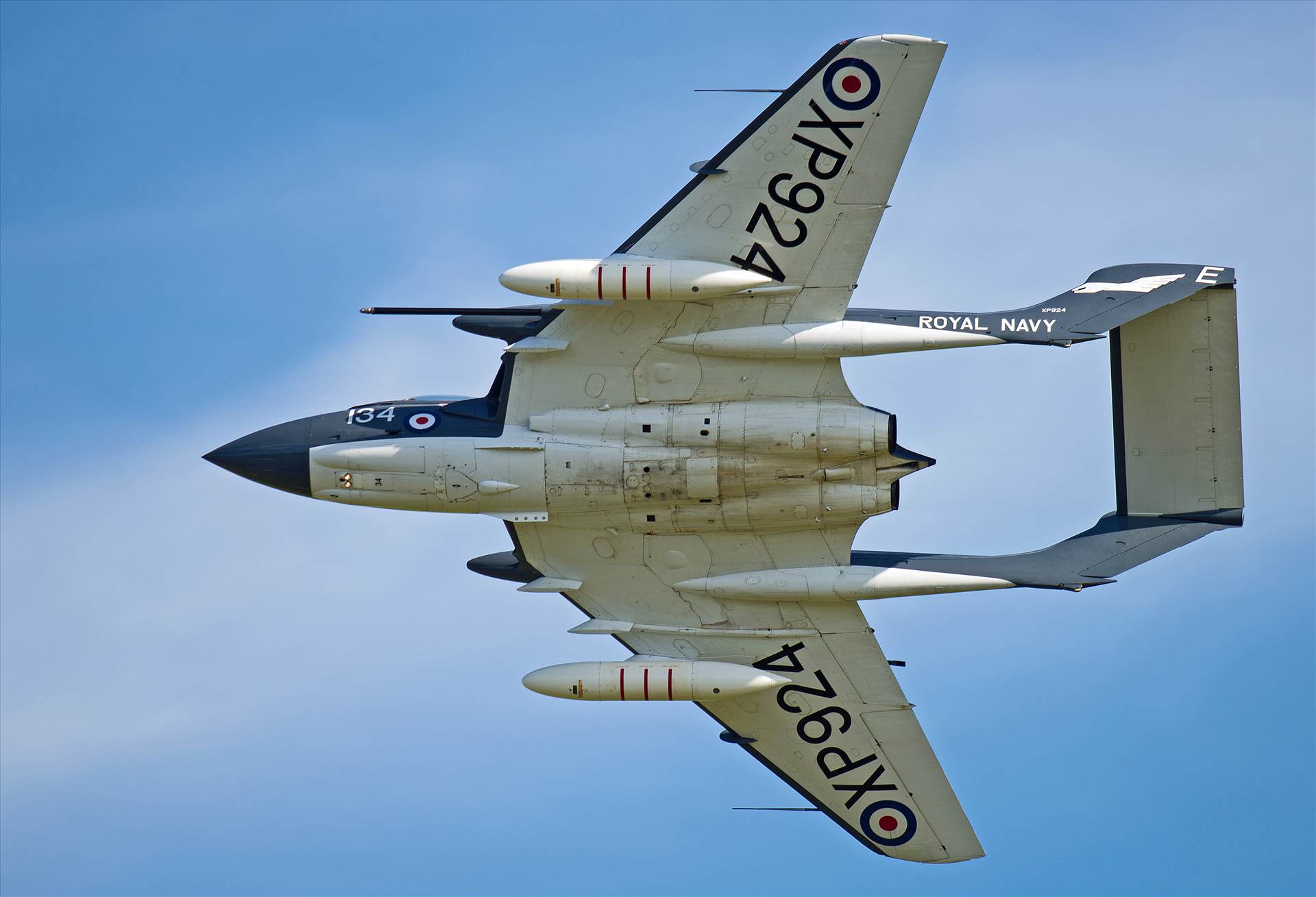 resized_9e96d1dd-8d32-4bf7-9940-6ecdeaa6