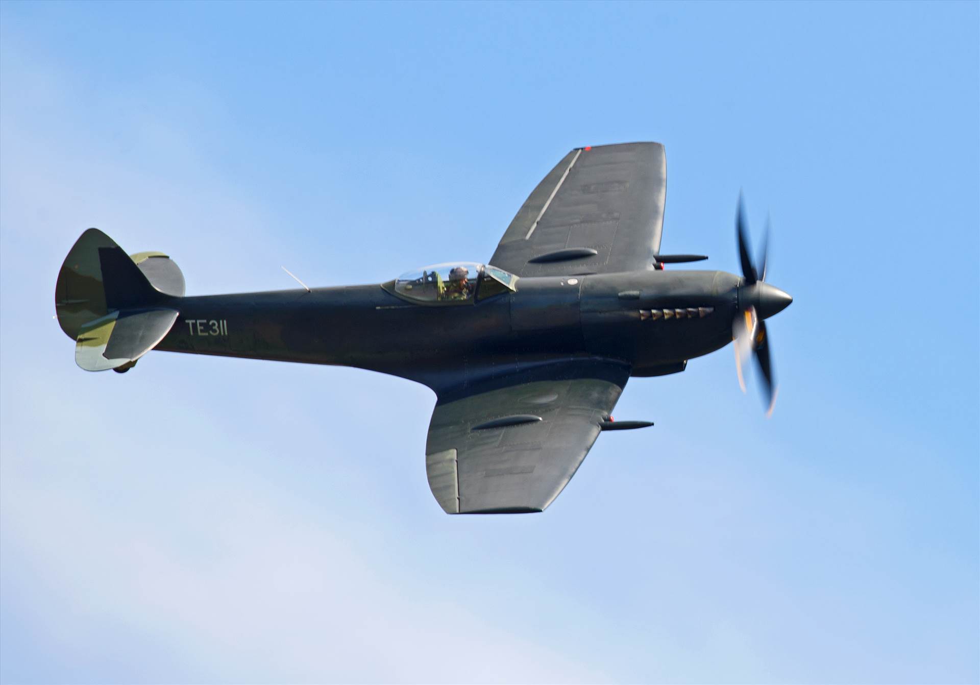 resized_ac0e89f0-bd93-49a0-8492-3181d971