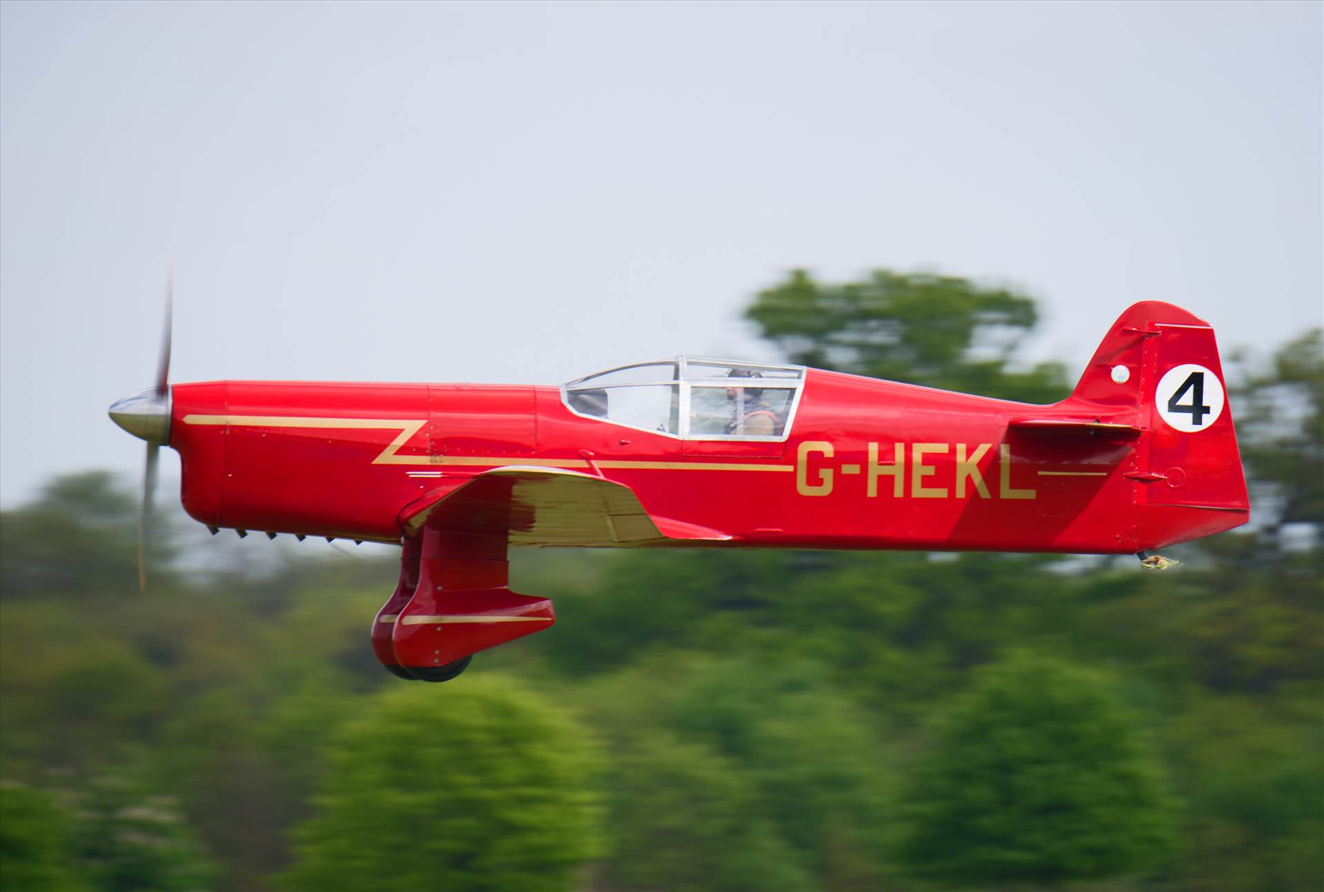 resized_ace9bd6e-9f80-4dc3-8492-6d97a7fc