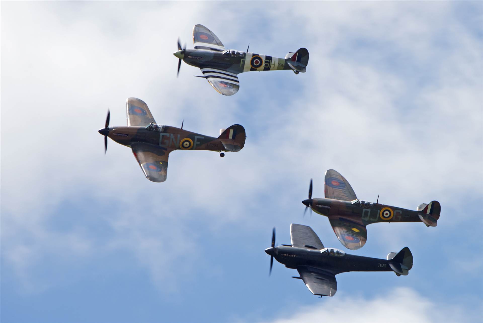 resized_acef9627-0ca8-43fc-bb1c-fed1d79f