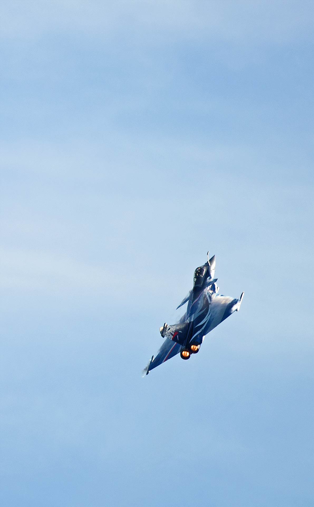 resized_c56347d9-1772-406a-9151-a2a6522f