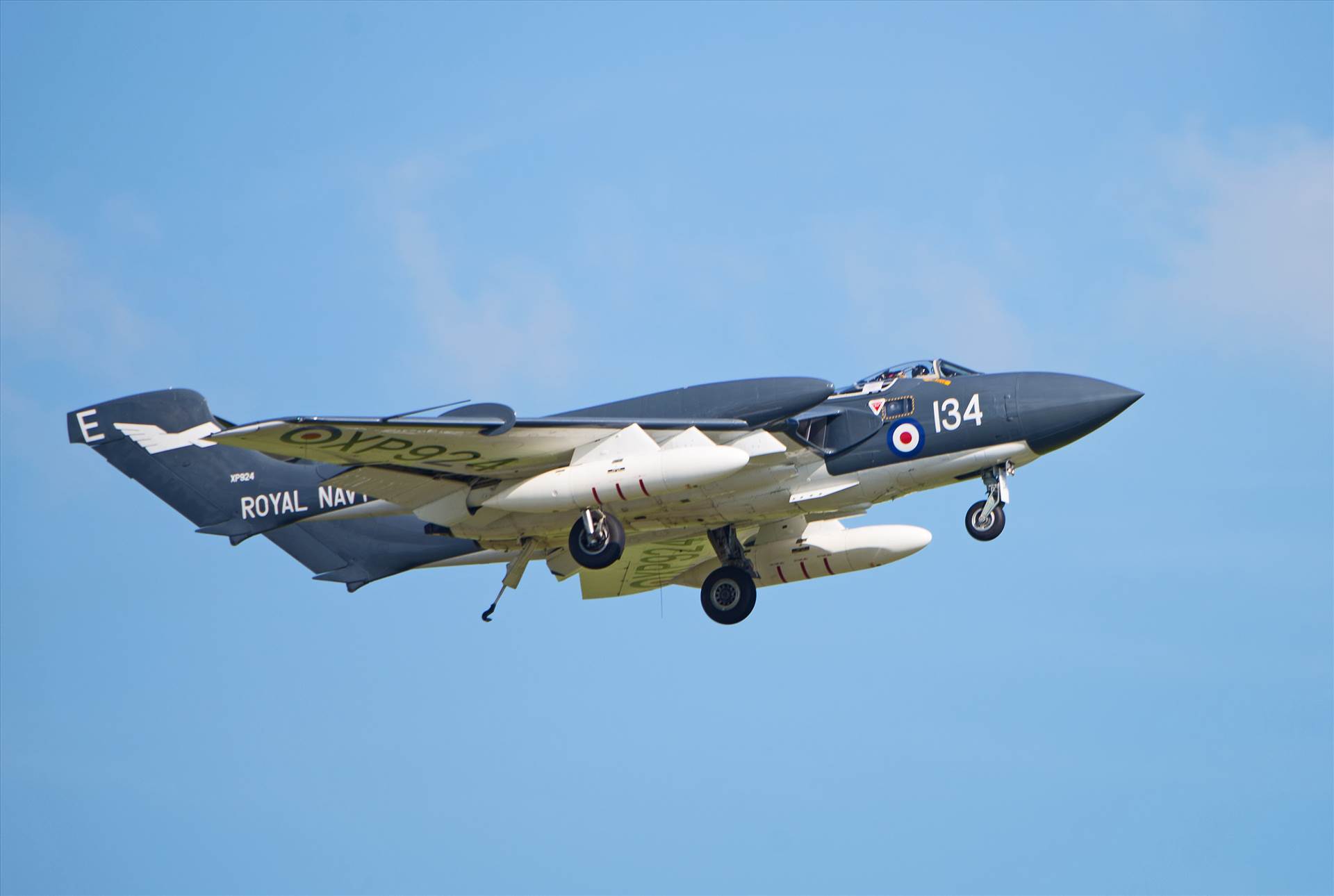 resized_ca65f9a1-50b0-4b6b-ac7f-b3efa240