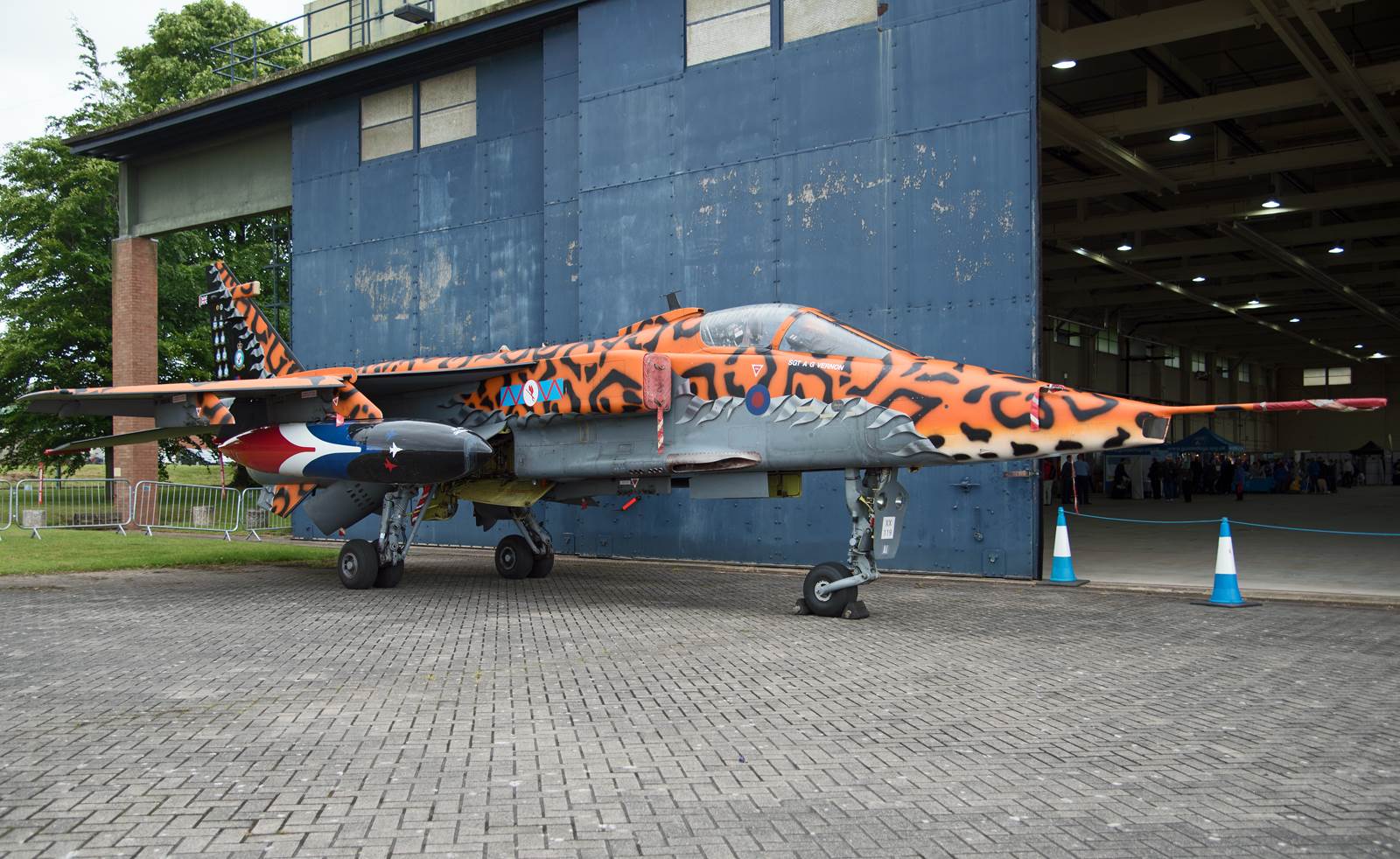 resized_cf74a882-0876-4db2-96c9-6aed2372