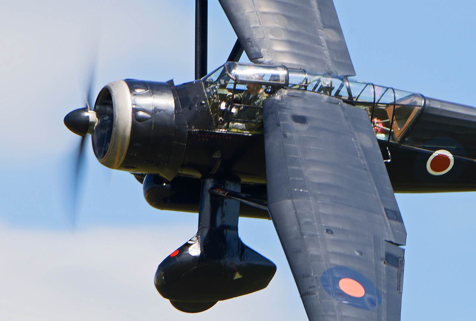 resized_d3419f66-793d-4b39-94fd-b62f4f99